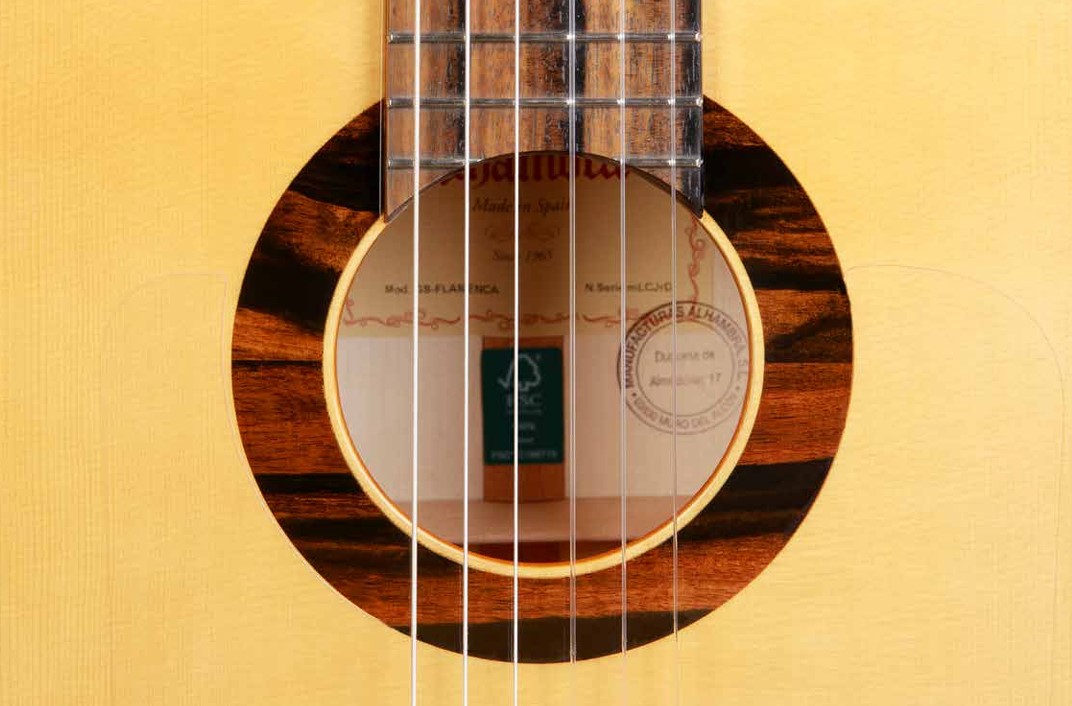 8.896 Green Sustain Flamenco Классическая гитара, Alhambra