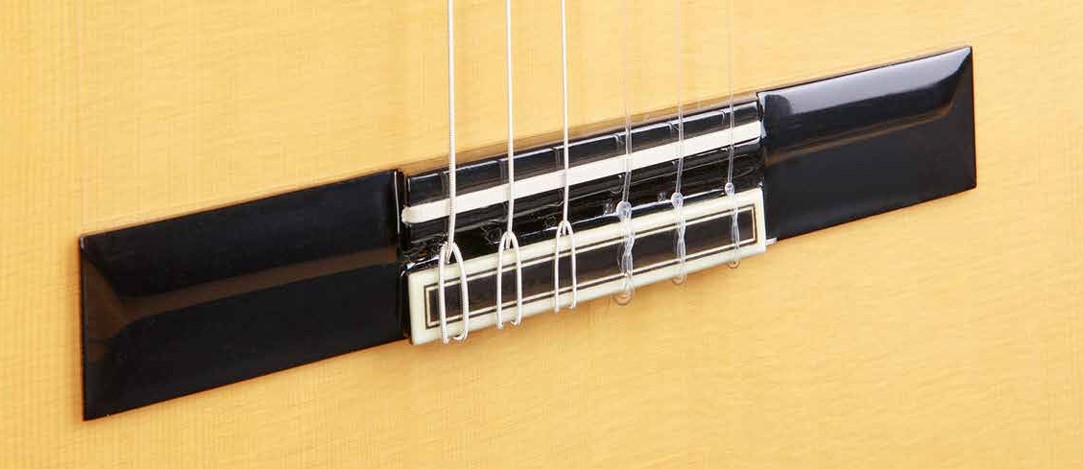 8.896 Green Sustain Flamenco Классическая гитара, Alhambra