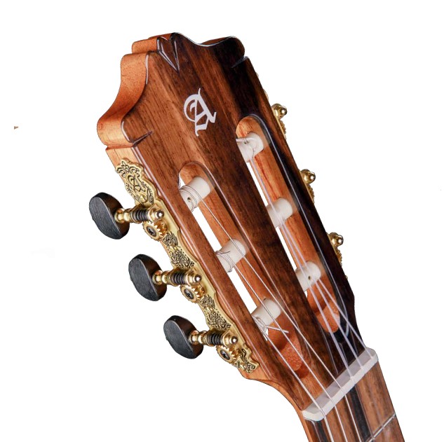 8.897 Green Sustain CTW E8 Классическая гитара со звукоснимателем, Alhambra