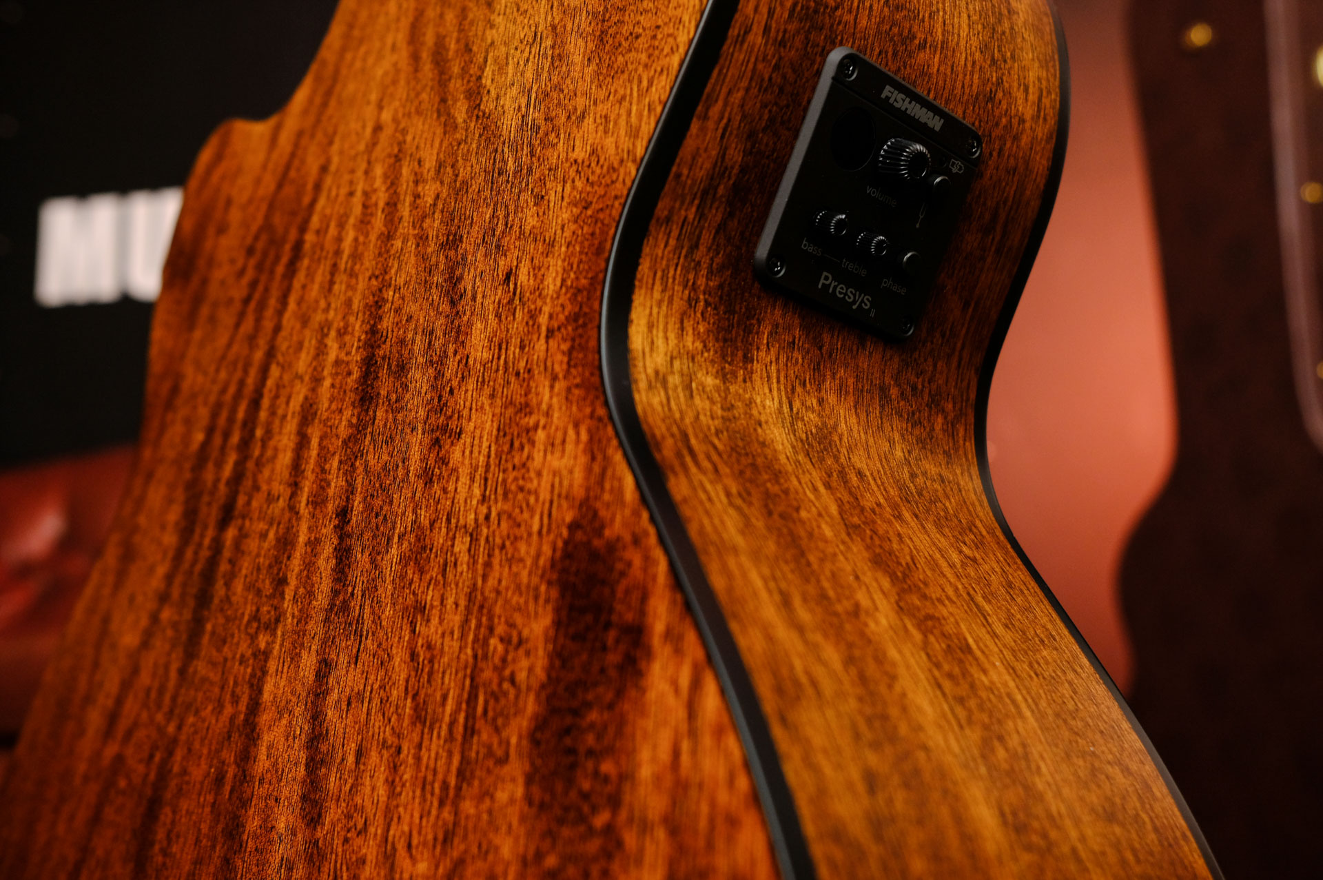 Бас-гитара Cort Acoustic Bass Series SJB5F-NS