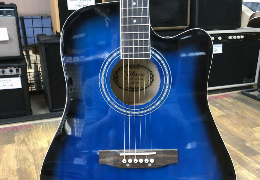 Акустическая гитара Elitaro E4110C BLS