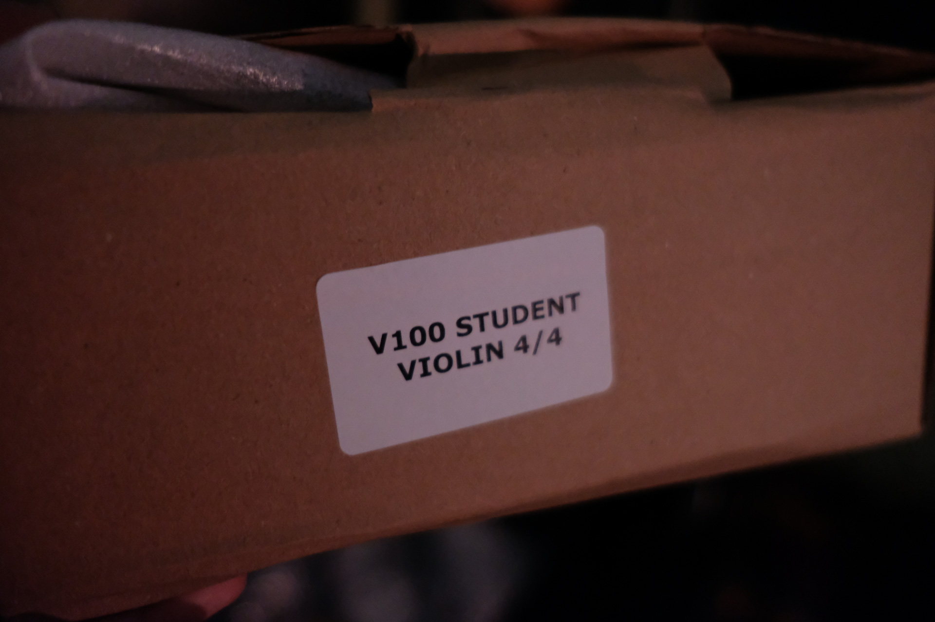 Скрипка Hora Student V100-4/4