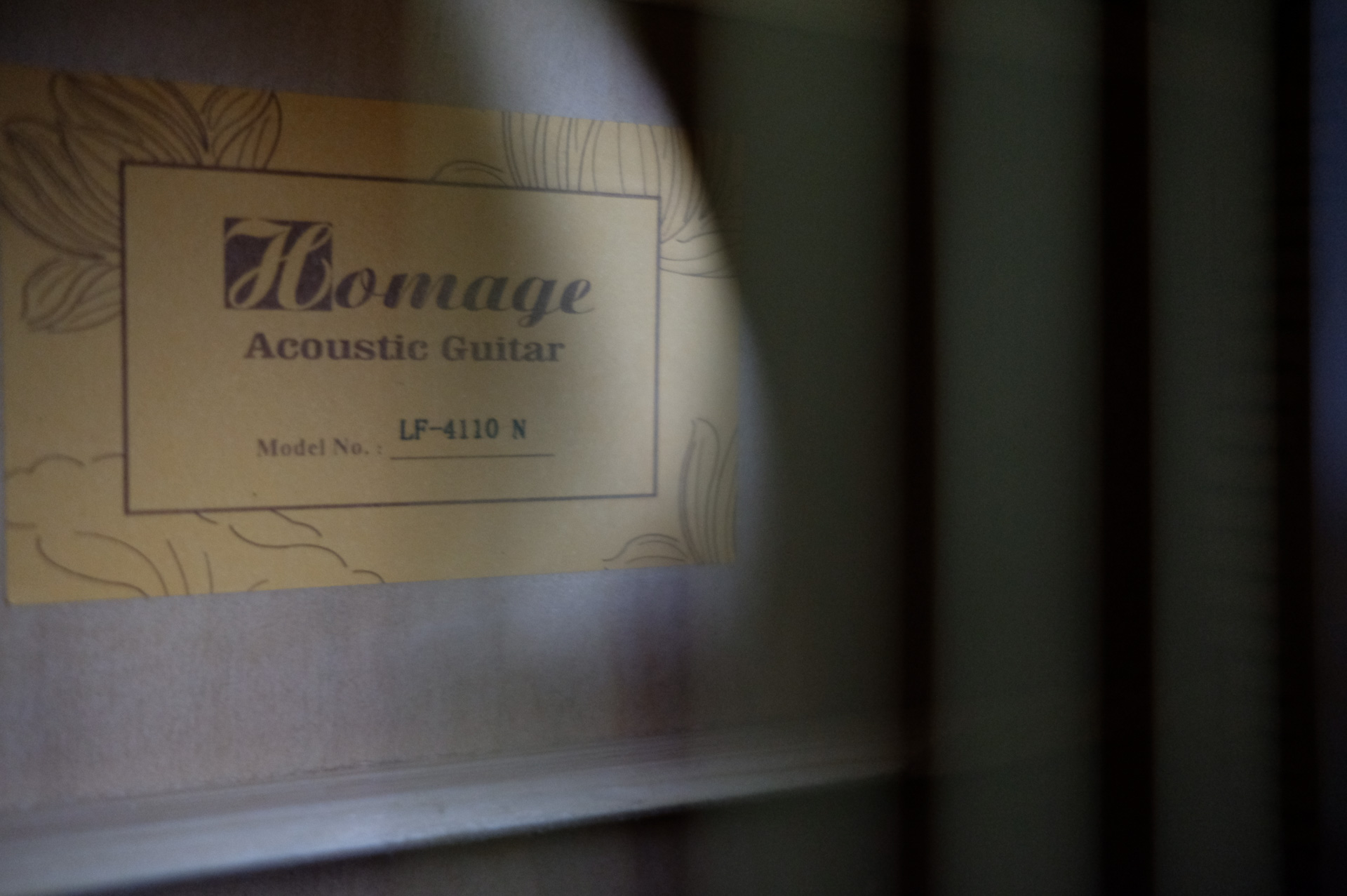 Акустическая гитара Homage LF-4110-N