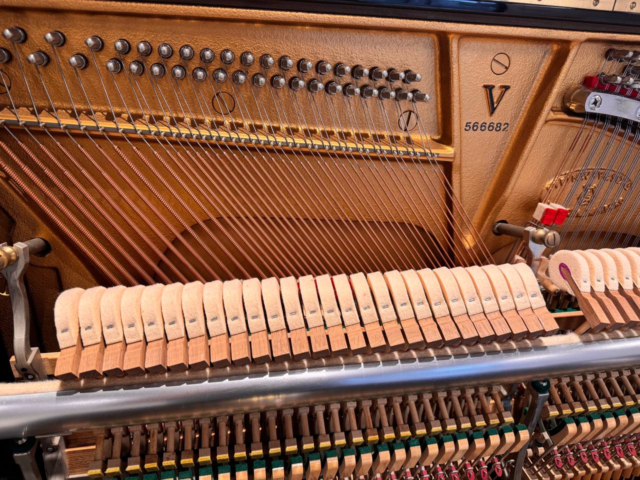 Пианино Steinway & Sons V-125